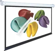 "2C Enjoy IT 106"" Manual Pull down Screen"