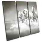 White Horses Herd Galloping Modern Animals TREBLE CANVAS WALL ART Picture Print