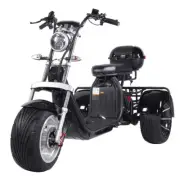 Fat Tyre Electric Tricycle Adults 60km/h 60km Long Range 3 Wheel Electric Bike