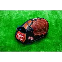 在飛比找蝦皮購物優惠-全新美國進口 RAWLINGS 羅林斯 Gold Glove