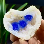 79G Indian dandelion zeolite Quartz Crystal Cluster Mineral Specimen