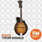 Tanglewood Mandolin Teardrop Spruce Top Vintage Sunburst - Brand New