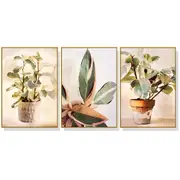 50Cmx70cm Botanical Leaves Watercolor Style 3 Sets Gold Frame Canvas Wall Art