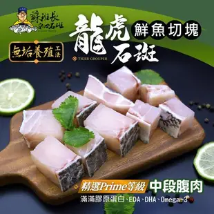 蘇班長安心石斑 龍虎石斑鮮魚切塊500g 3入組 歐盟食安標準 得獎最多的石斑(龍虎石斑 龍膽石斑 永安石斑)