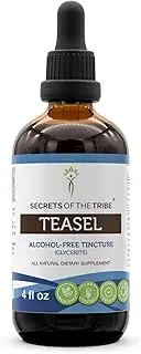 Teasel Alcohol-Free Liquid Extract, Organic Teasel (Dipsacus fullonum, Dipsacus sylvestris) Dried Root (4 FL OZ)