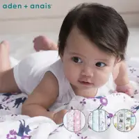 在飛比找momo購物網優惠-【aden+anais】經典多功能包巾4入(3款)