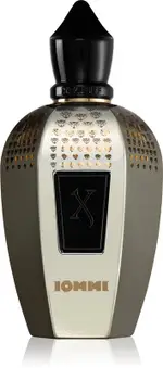 Xerjoff Tony IommiMonkey Special perfume - 100 ml