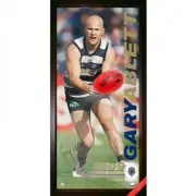 GEELONG CATS GARY ABLETT 2009 AFL BROWNLOW MEDALLIST HAND SIGNED PRINT BALL