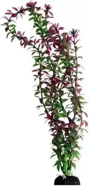 X-Large Rotala Red Aquarium Plant Fish Tank Decor