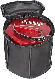 20 Keys Accordion Concertina with Carry Bag, Easy to Learn Music Accordion Instrument, Educational Musical Instrument for Amateur Beginner Gift