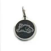 Penrith Panthers NRL Pet Tag Engravable Dog Tag