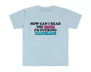 How Can I Read the Room I'm Fucking Illiterate Joke Tee, Gift Shirt