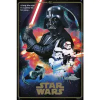 在飛比找蝦皮商城優惠-星際大戰Star Wars 40週年紀念版黑武士海報