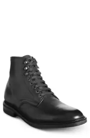 Allen Edmonds Higgins Weatherproof Plain Toe Boot