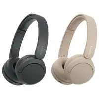 在飛比找momo購物網優惠-【SONY 索尼】WH-CH520(無線藍牙/耳罩式耳機)