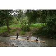 Save 20.01%! Embarking bamboo rafting throughout Mae Wang River beauty