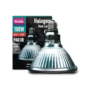 Arcadia Halogen Heat Lamp - 100W (MF11206)