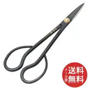 Senkichi Gold Satsuki Scissors 180mm 1pc From Japan
