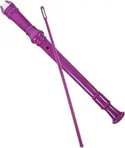 ERINGOGO 1 Set Soprano Recorder Flute for Beginners with Cleaning Rod Storage Bag Stylish Design for Teens Students Musical Accessory for Learning