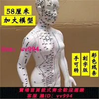 在飛比找樂天市場購物網優惠-高清刻字60cm人體穴位模型男女銅人全身經絡推拿針灸按摩中醫