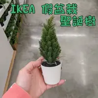 在飛比找蝦皮購物優惠-現貨 IKEA 假盆栽 小樹 VINTERFINT 人造盆栽