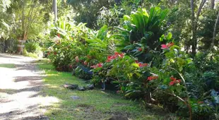 Bungalow d'une chambre avec jardin amenage et wifi a Pointe Noire