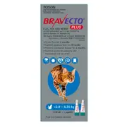 Bravecto Plus Medium Cat 2.8-6.25kg Blue 2 pack