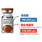 來自韓國護膚新革命！CENTELLIAN24 童顏小紅球安瓶精華(7ML/支*5支)