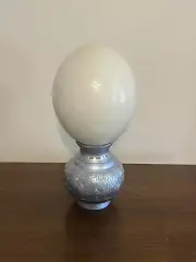 Vintage OSTRICH EGG SHELL for DISPLAY or CRAFTING 5" clean