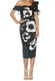 BRAND NEW PASDUCHAS - CABOODLE RUFFLE MIDI DRESS BNWT RRP $349