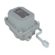 9036DW31 FLOAT SWITCH, OPEN TANK, NEMA 4,