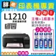 【胖弟耗材+含稅+促銷B】 EPSON L1210 原廠連續供墨印表機