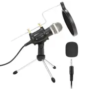Live Broadcasting Microphone Microphone Recording Vocals On Computer