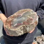 11.9lb Natural petrified stump wood rough Wood fossil mineral specimen healing