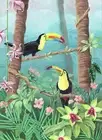 Jungle Toucans & Flowers Print For Living Area / Nursery-Colorful Decor Of Birds