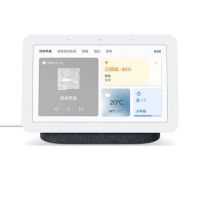 GOOGLE NEST HUB (GEN2) 第二代 智慧家庭 智慧音箱 智能音箱