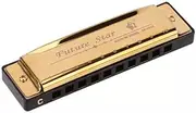 Harmonica 10 Holes Key of C Blue Blues Harp Stainless Steel Brass Harmonica AU