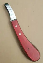 Hoof Knife Full Loop Blade Stainless J2 Rainbow Equine