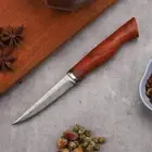 Damascus Steel Utility Kitchen Knife Chef Slicer Peel Meat Vegetable Wood Handle