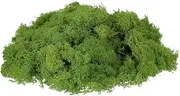 sourcing map Preserved Reindeer Moss, 7oz Fake Moss for Crafts Artificial Dried Moss for Decoration Terrariums Potted Plants, Light Green