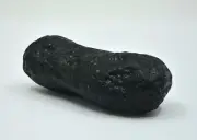 68.3g Indochinite Tektite from Vietnam - TOP METEORITE