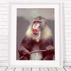 501261 AFRICA SEPIA -Mandrill Monkey * 24x18 WALL PRINT POSTER