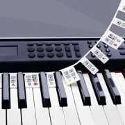 Removable Piano Keyboard Note Labels for 88 Key Full Size Silicone-color-88key