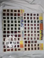 Vtg PanaVue MirroKrome Super 114 Slides Around The World 23 Packs 35mm Colored