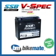 Battery AGM VSPEC for YAMAHA YFM 450 FAP Grizzly EPS 2015 2016