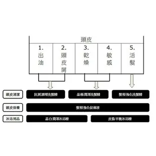 【現貨】洗髮精 洗髮乳 台塑生醫洗髮精 580ml 控油抗屑 晶極潤澤 髮根強化 柚柚的店