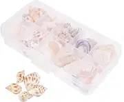 Gogogmee Unique Decorative Sea Shells Natural Conch Shells for Diy Craft Jewelry Making and Beach Decor