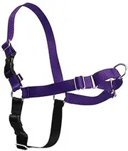Beau Pets Dog Harness, Purple, Medium