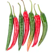 Chilli - Hot Vulcan F1 seeds