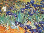 8 x 6 Art van Gogh Irises Ceramic Mural Backsplash Bath Tile #904